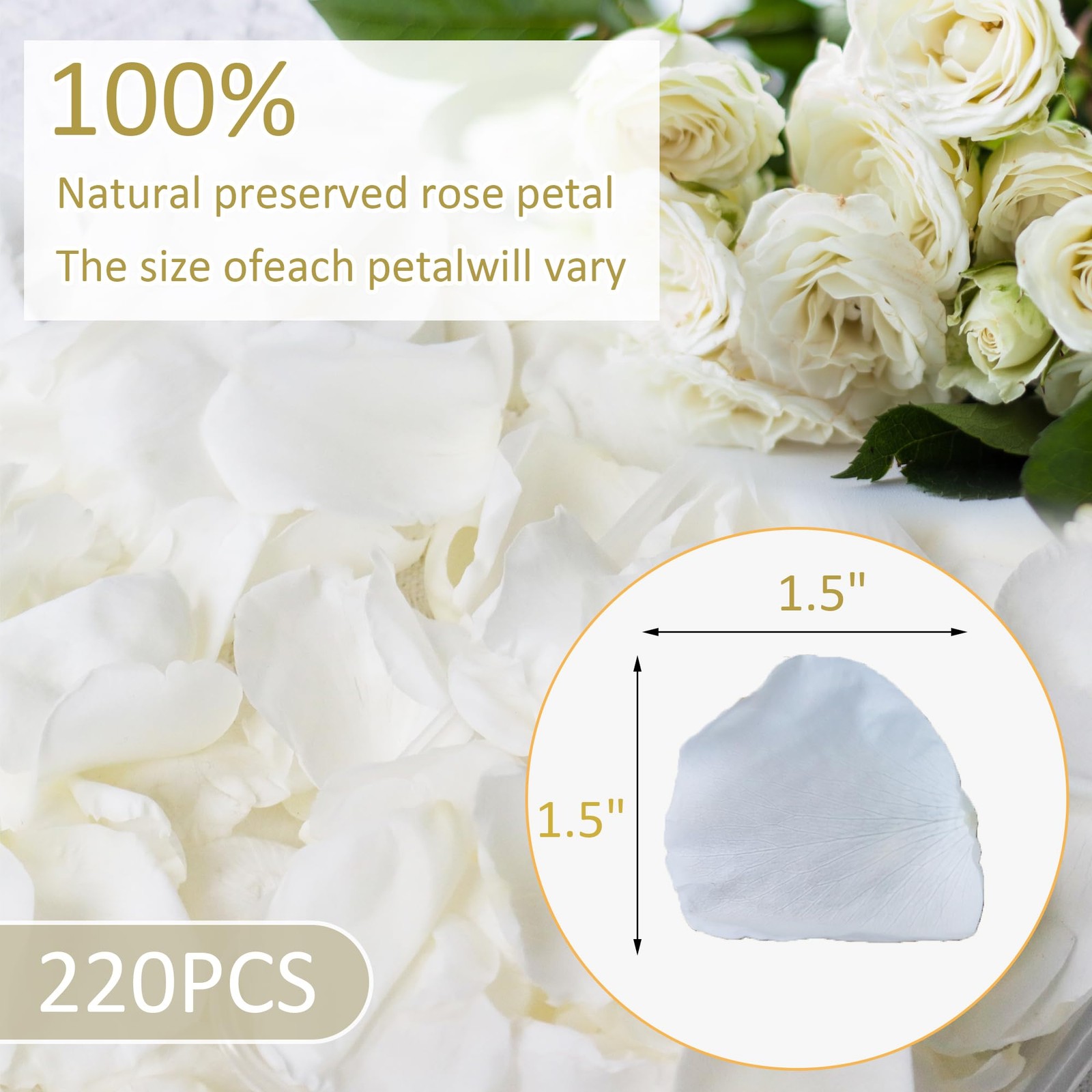 2.1oz Freeze Dried Real White Rose Flower Petal Preserved Confetti Centerpiece