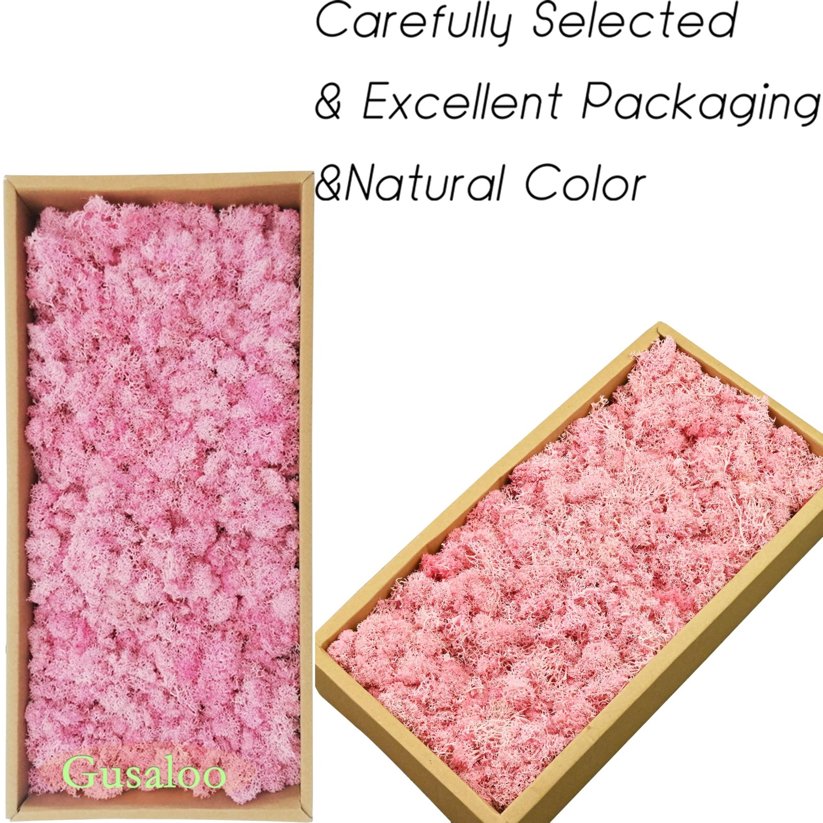 Preserved Moss 5oz Artificial Natural Fresh Green Moss for Craft Handicraft A…