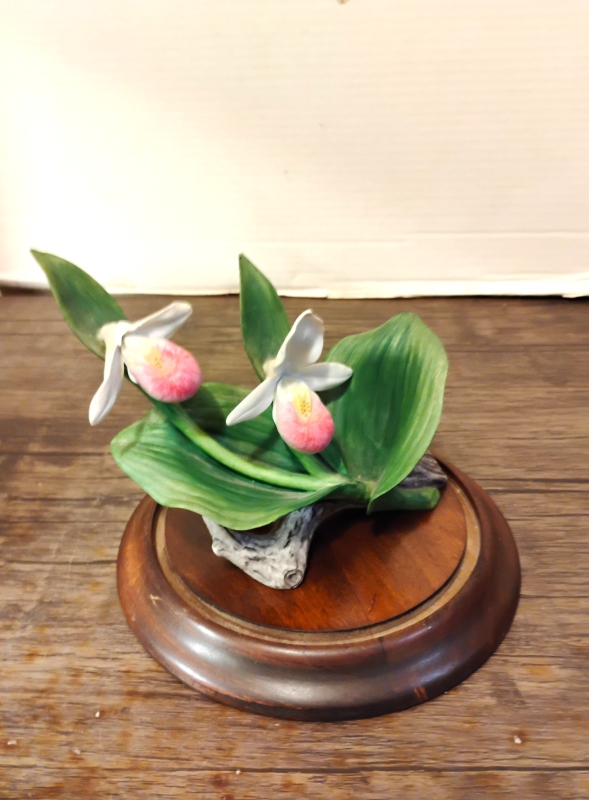 Bisque ‘Lady Slipper’ Cluster Celebrating Bachman’s Floral 100th Anniversary