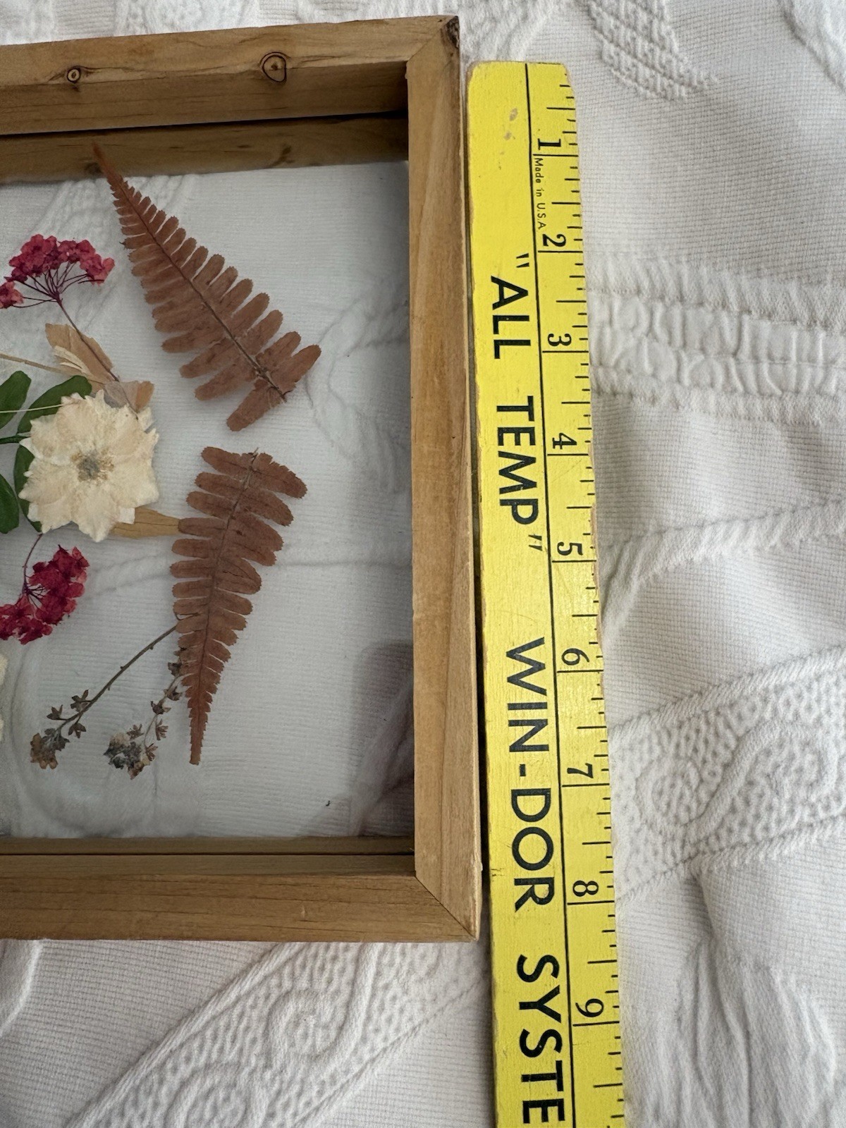 Dried Pressed Flowers Leaves Wood Frame Under Glass Gallery Wall Boho Decor 8×8