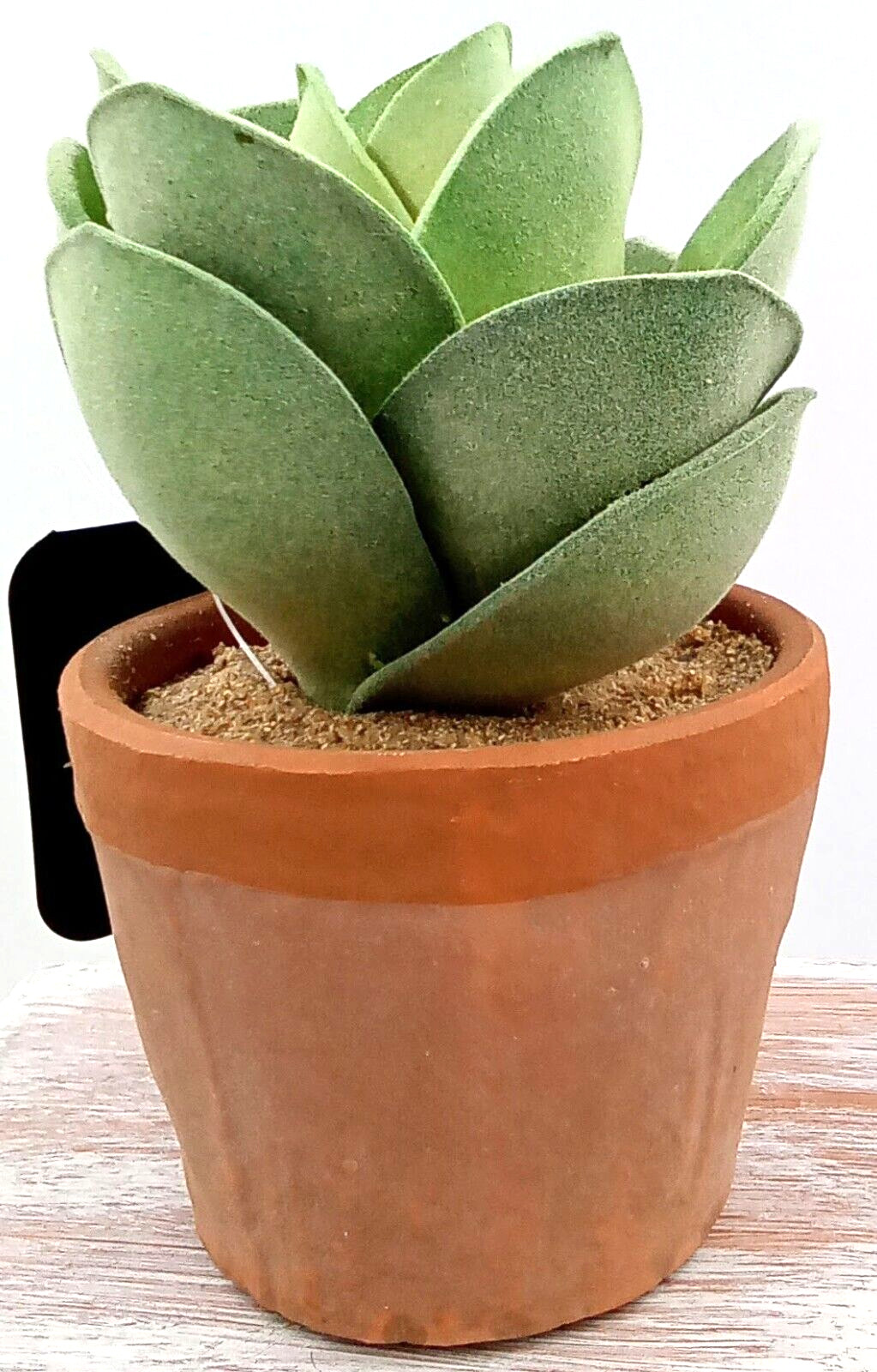 Succulent Clay Pot Planter Artificial Faux Dirt Foam Plastic Green Floral 5×2.5″