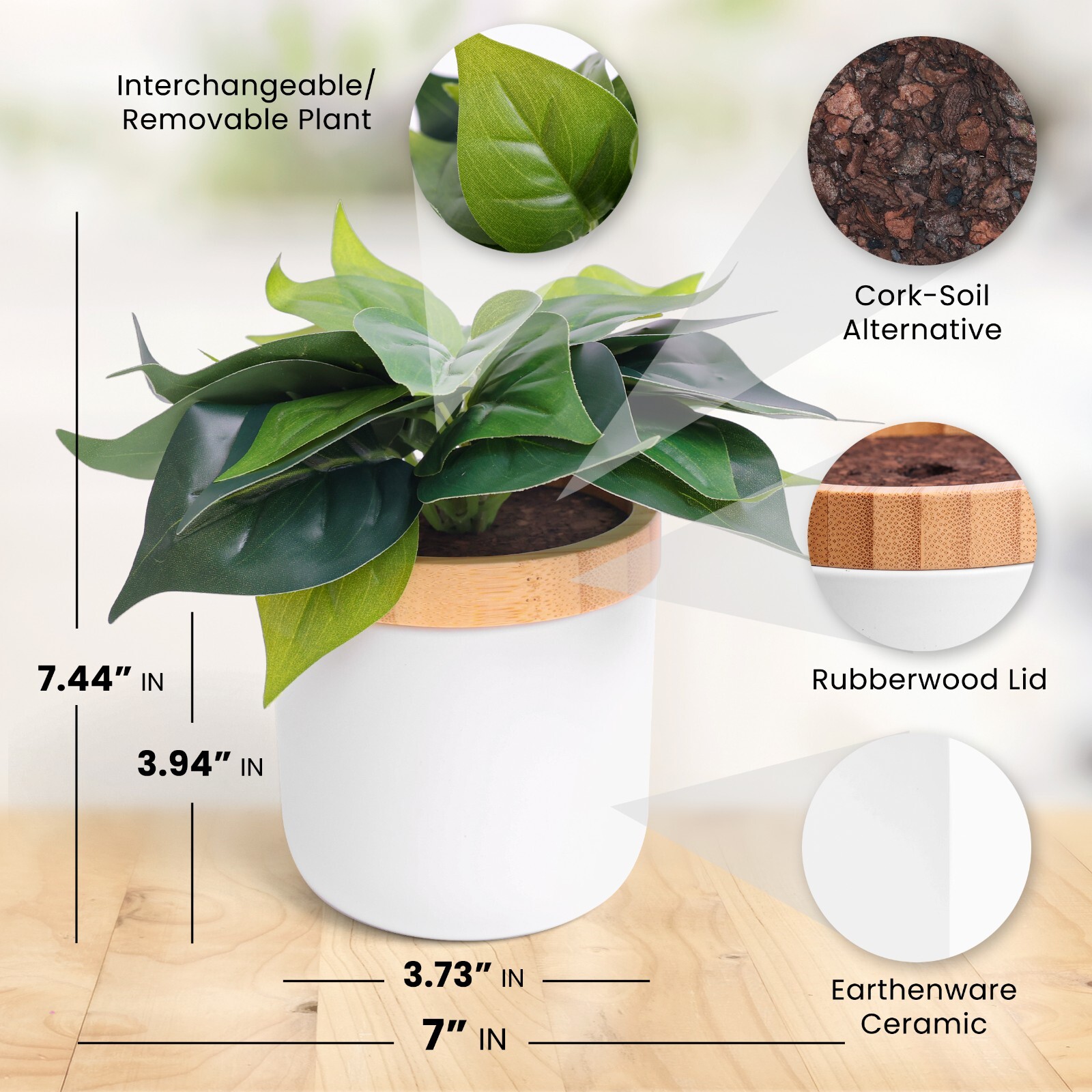Decorative Plant Storage Jar | Great For: Office, Desk, Pet Treats, Gift, Etc.