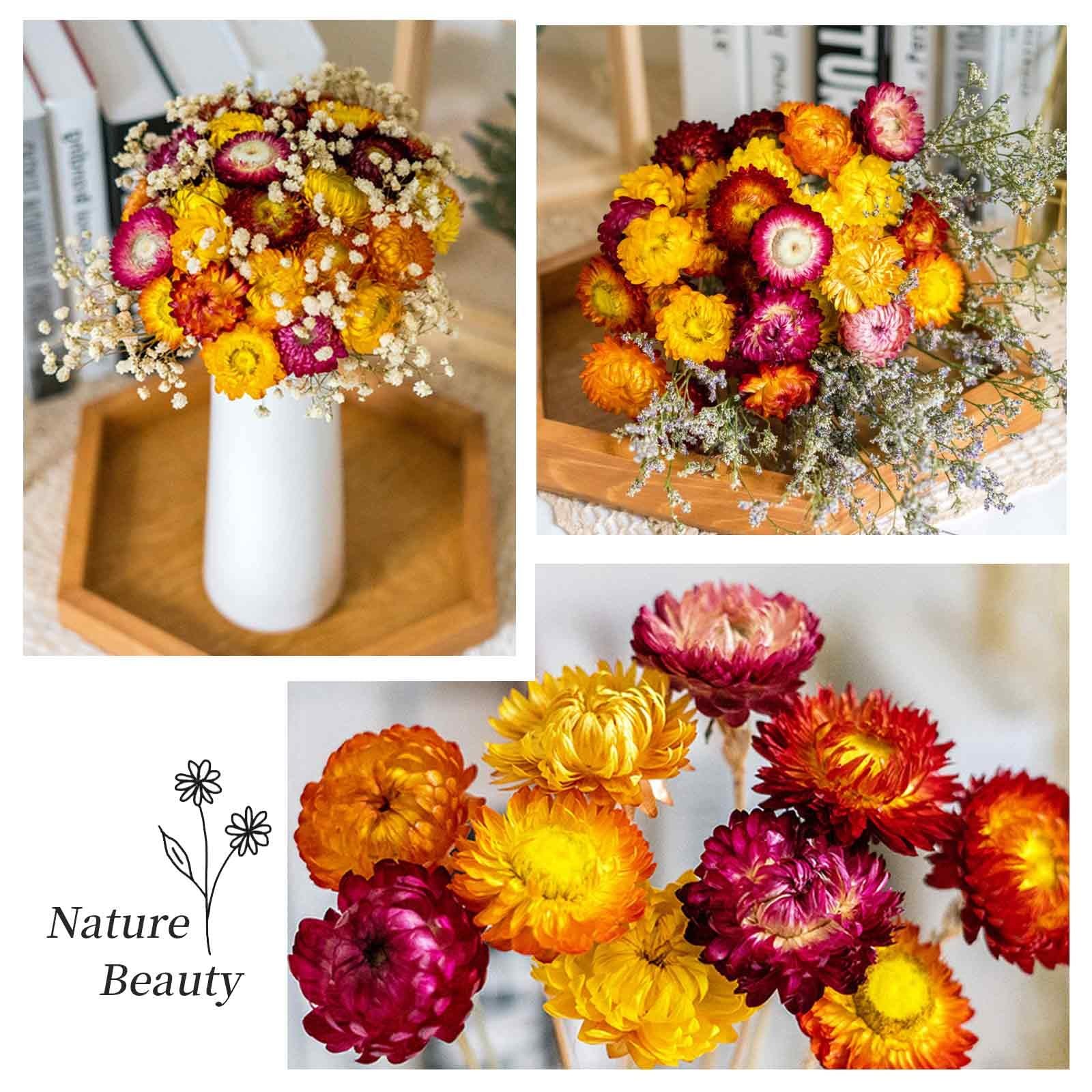 Natural Dried Daisy Flowers Bouquet 20 PCS Multicolor Decor DIY Craft Fall