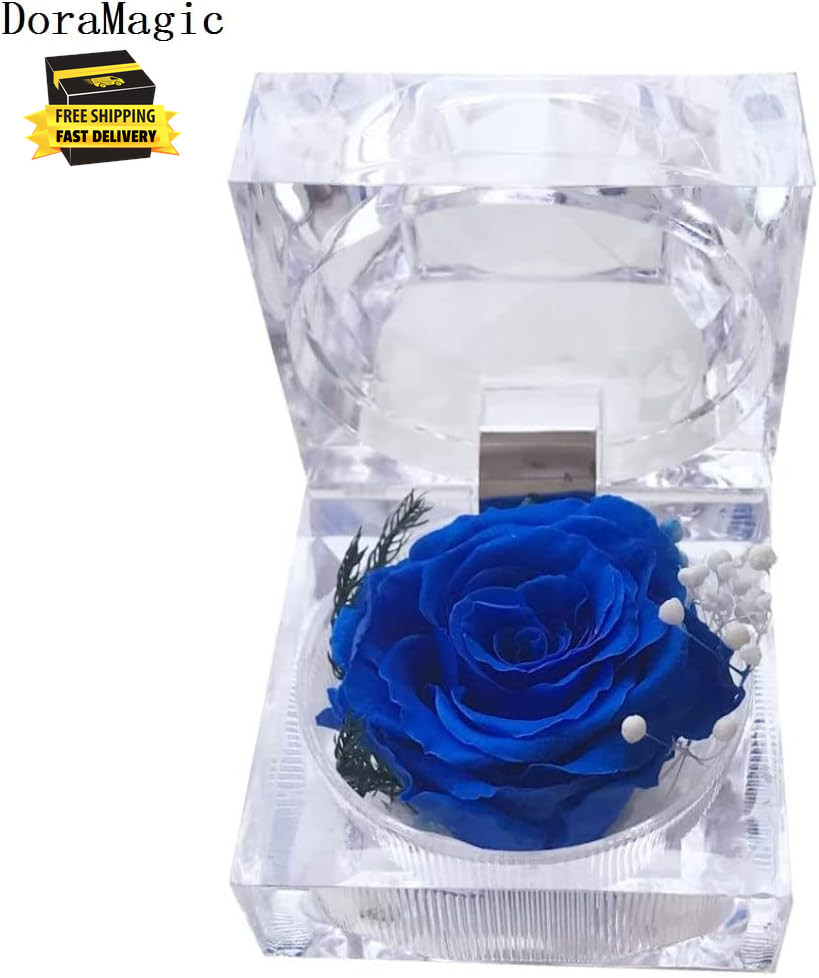 Preserved Rose Real Forever Rose in Mini Clear Ring Box, Eternal Flower Rose Gif
