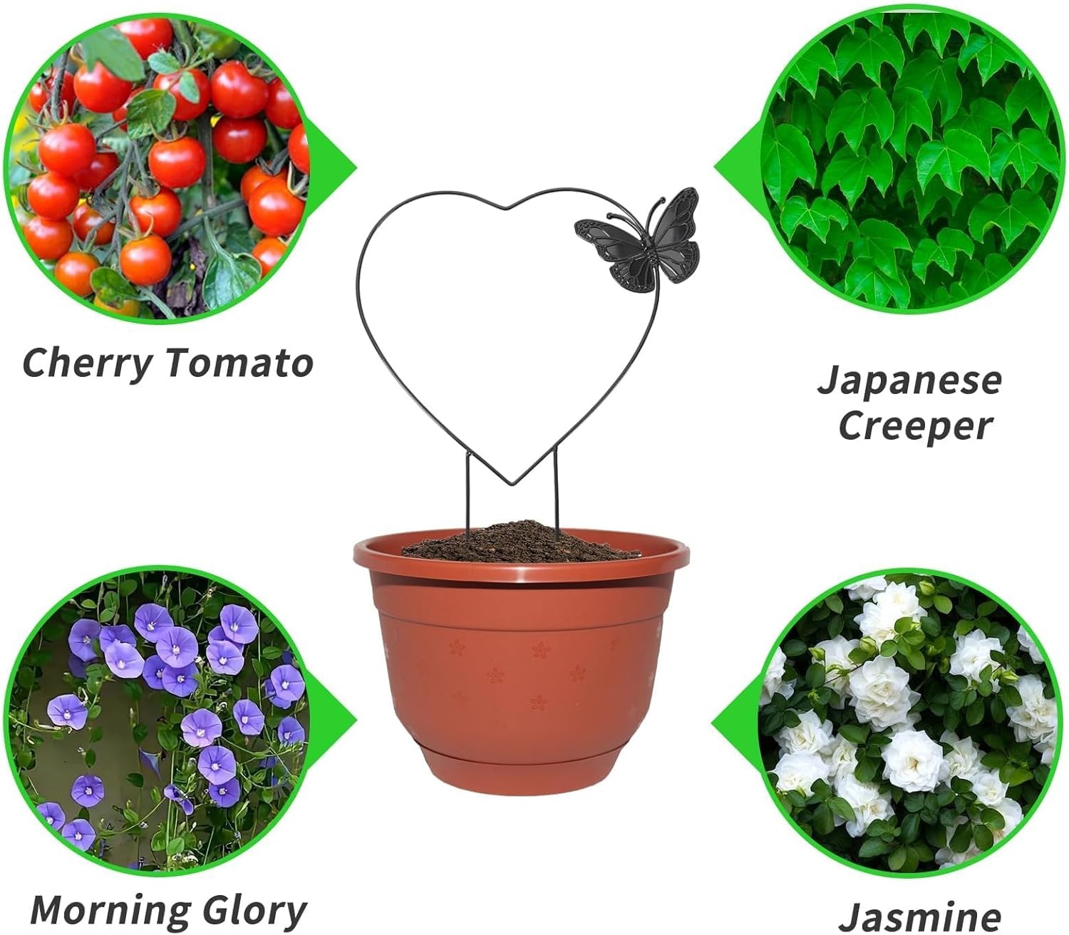 3PCS Round Metal Plant Trellis Indoor Climbing Vine Ivy Flower Support