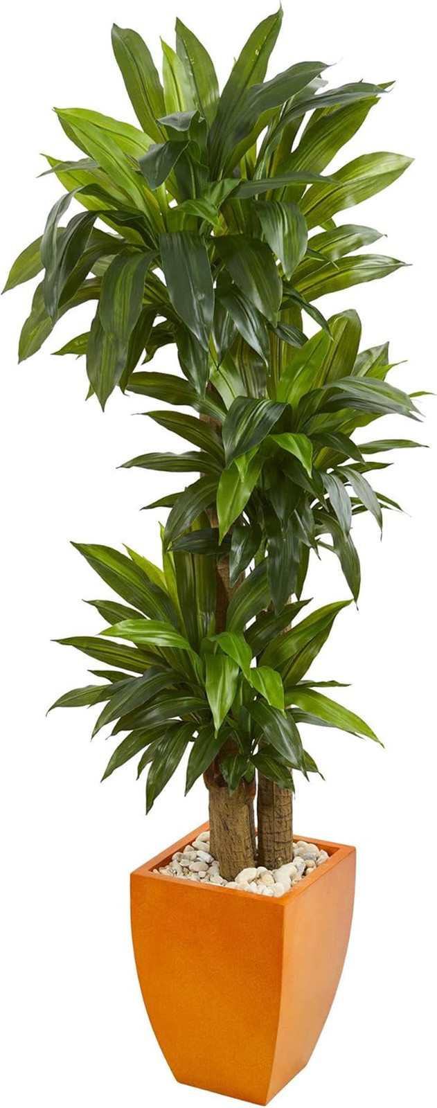 Real Touch 5.5Ft Dracaena Plant in Stylish Orange Square Planter