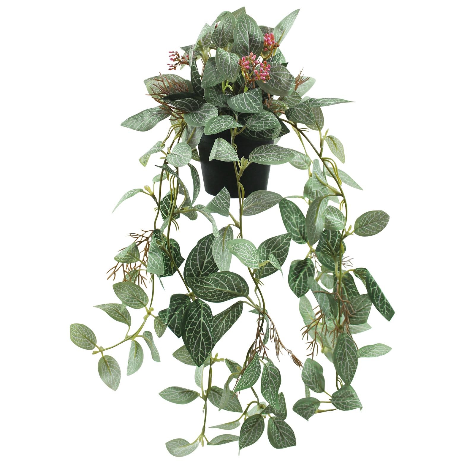 Artificial Hanging Ivy Plants Realistic 3D Watermelon Texture with Flower Bud…