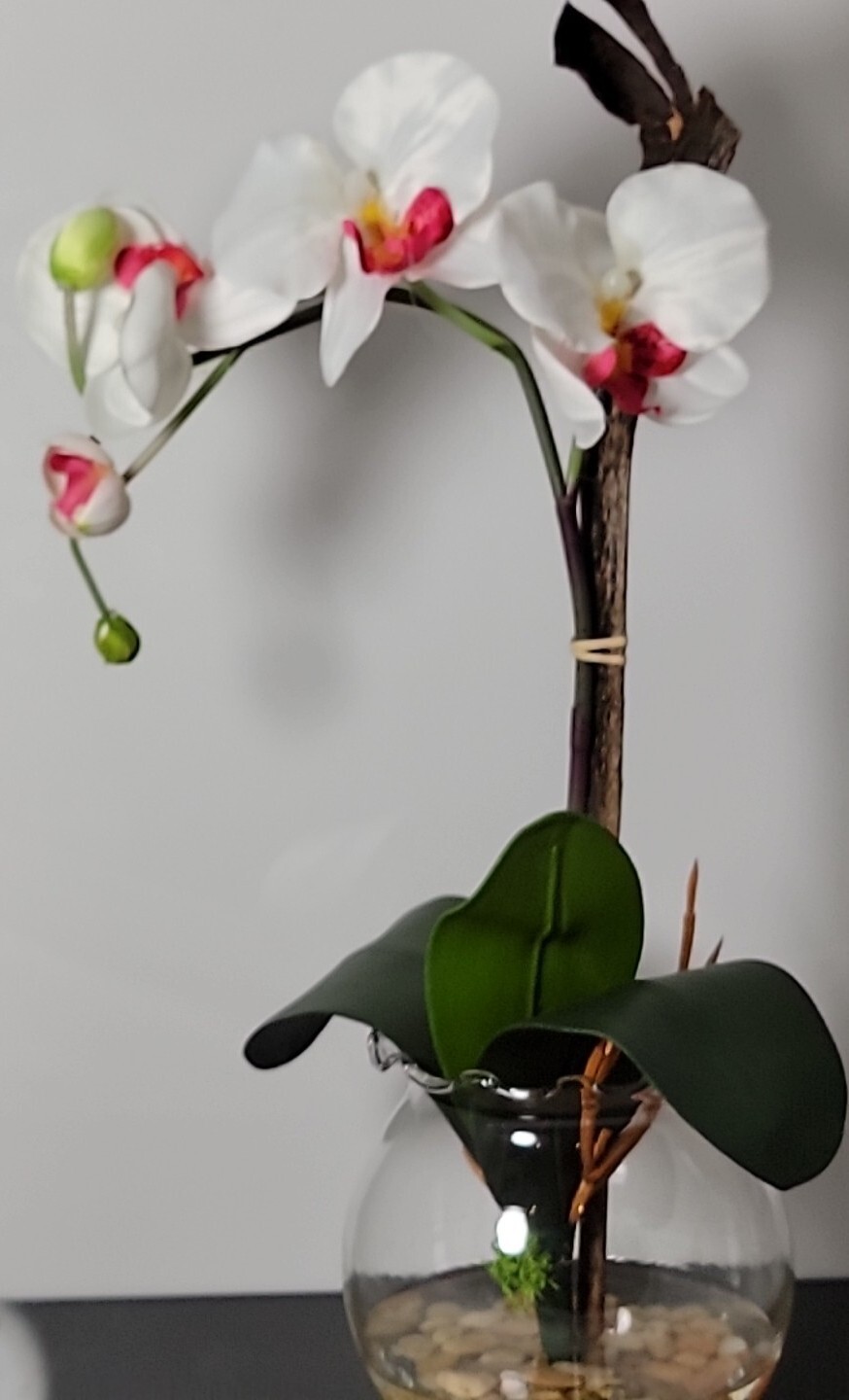 Nearly Natural 1277-WH Mini Phalaenopsis with Fluted Vase Silk Flower Arrangemen
