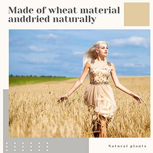 600 Stems Dried Wheat Stalks Bundle – Natural Wheat Grass for DIY Decor, Centerp