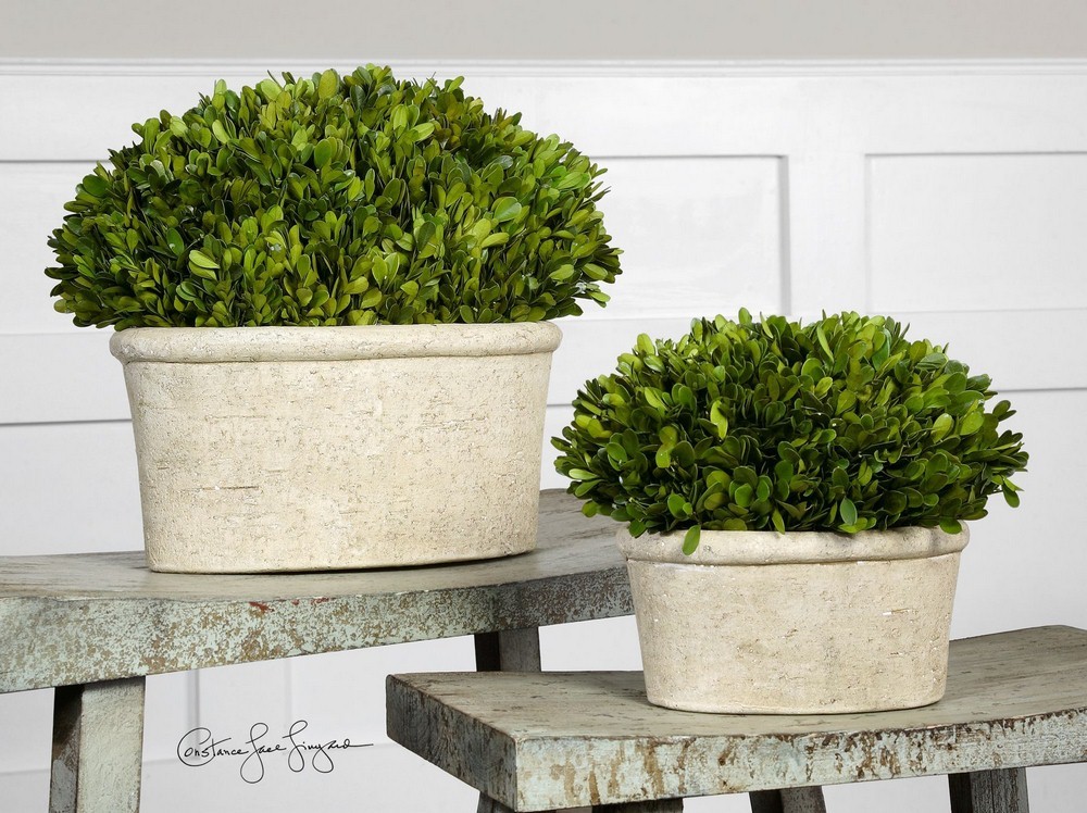 Preserved Boxwood – 14 inch Oval Dome Topiary (Set of 2) Accessories Uttermost
