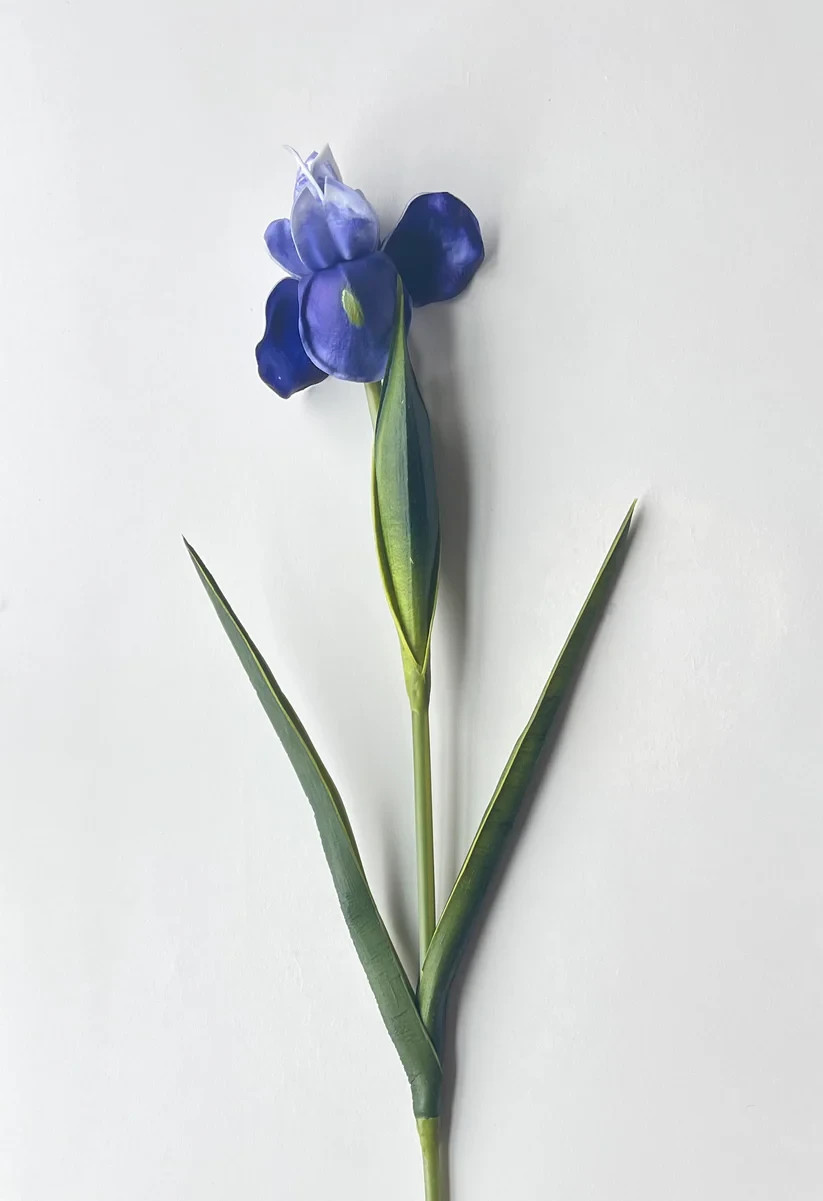 Fake Long Stem Iris Real Touch Artificial Flower (24 Stems)