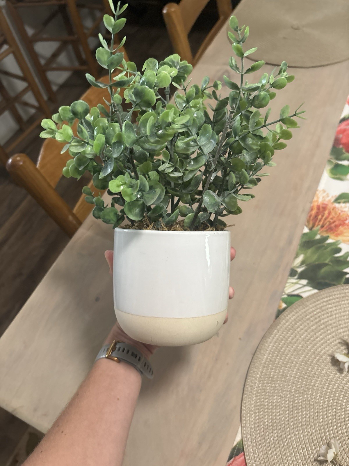 Artificial Eucalyptus Green Potted Plant Arrangement, White & Beige Pot