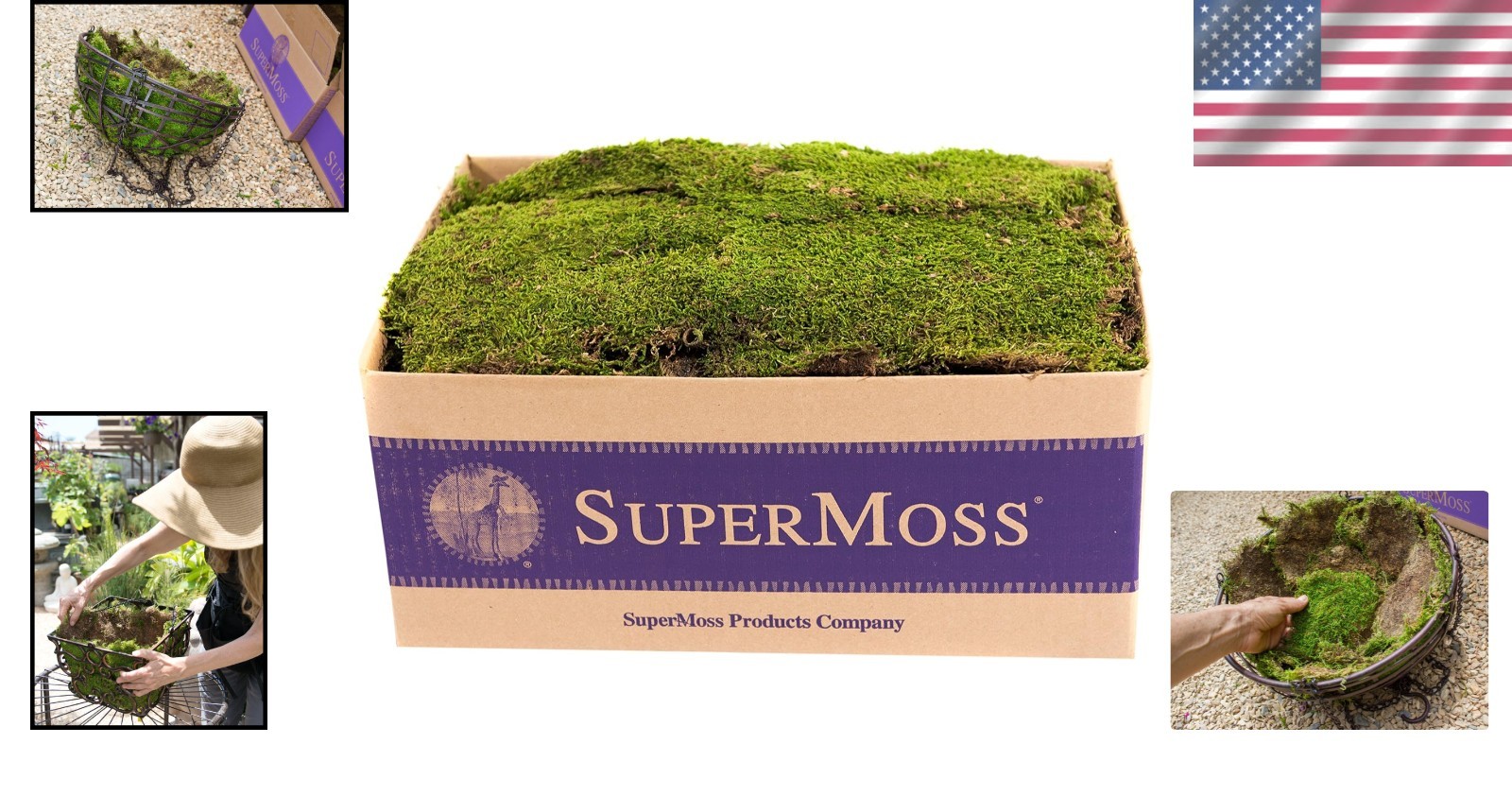 Fresh Green Moss Sheets, 20-24 Sq. Ft