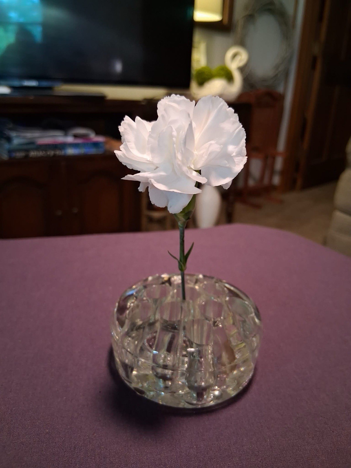Clear Glass Flower Frog Multi-Hole Floral Arranger 3.5 in W x 1.5 in H