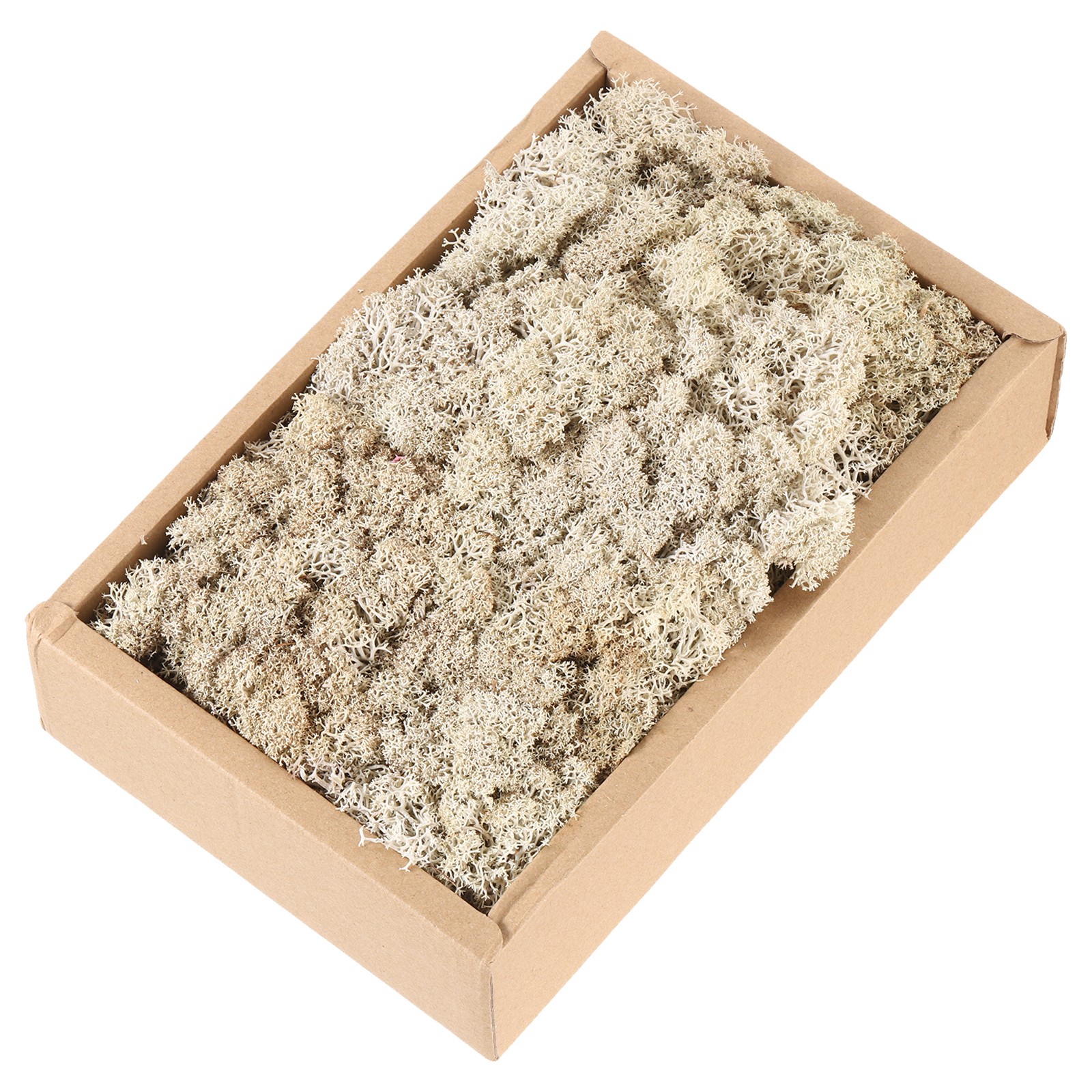 7.8oz Preserved Reindeer Moss, Brown Decorative Artificial Fake Moss