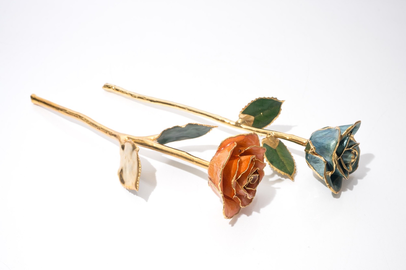 Gold Tipped Real Roses, Gift For Her