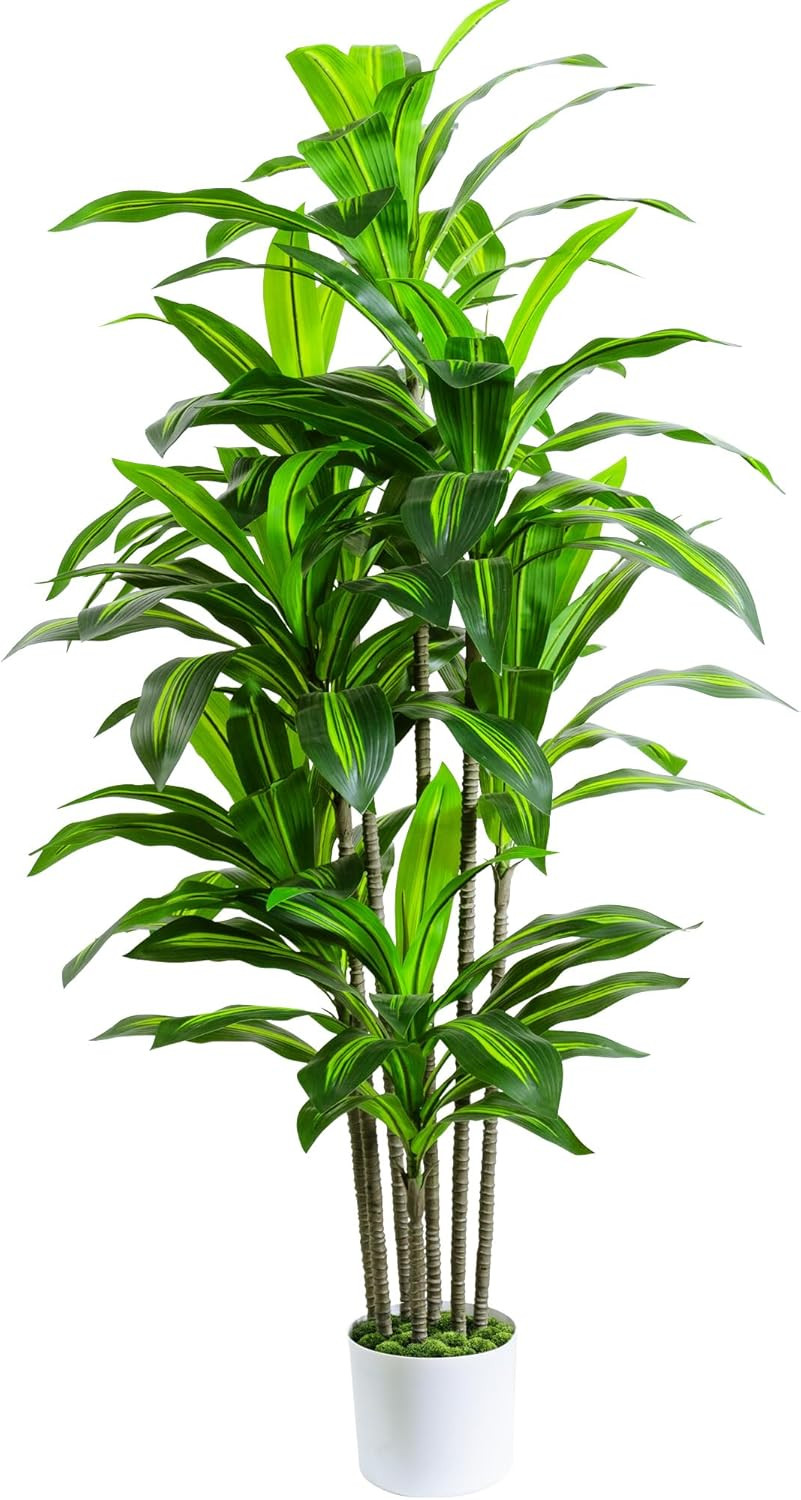 6FT Artificial Dracaena Tree in White Pot – Perfect for Home & Office Decor