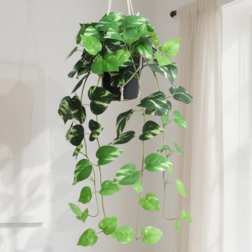 Fake Pothos Hanging Plants – Artificial Hanging Plant with Green and Golden