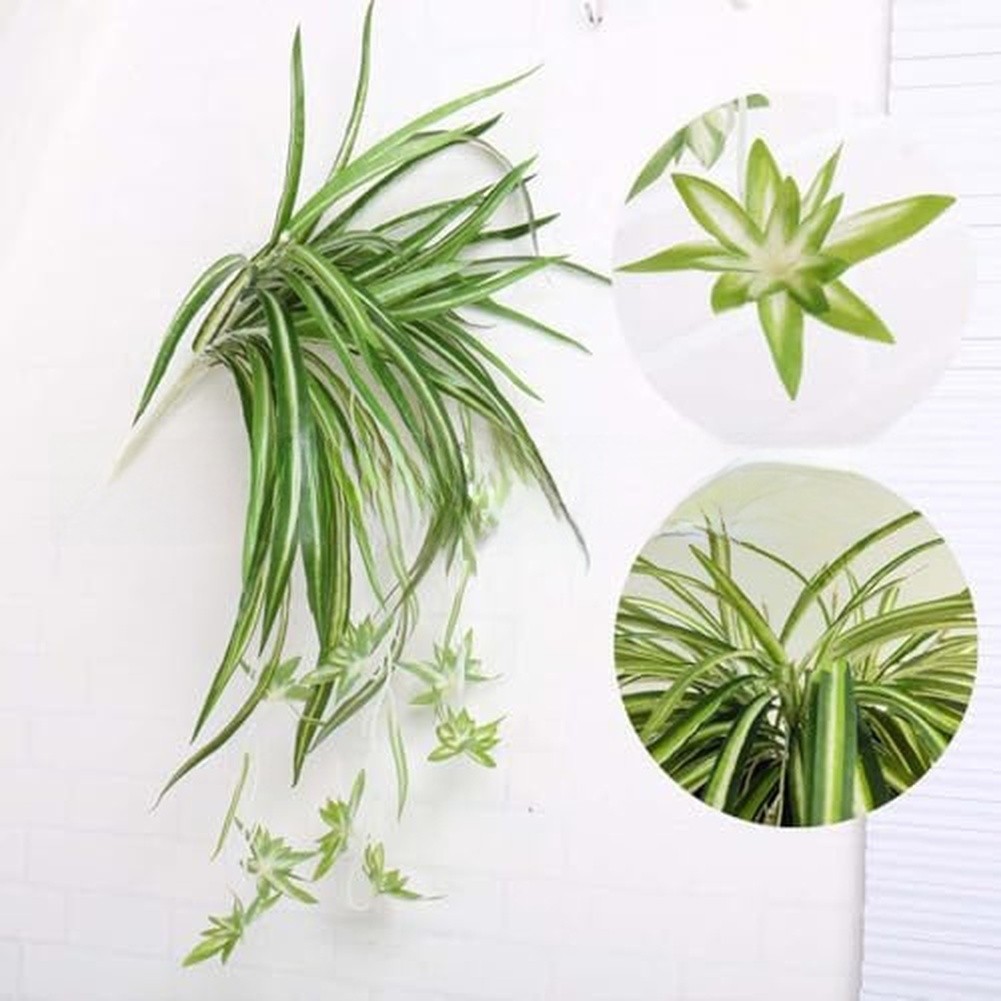 56cm Artificial Foliage Chlorophytum Style Green Plastic Leaves for Decor