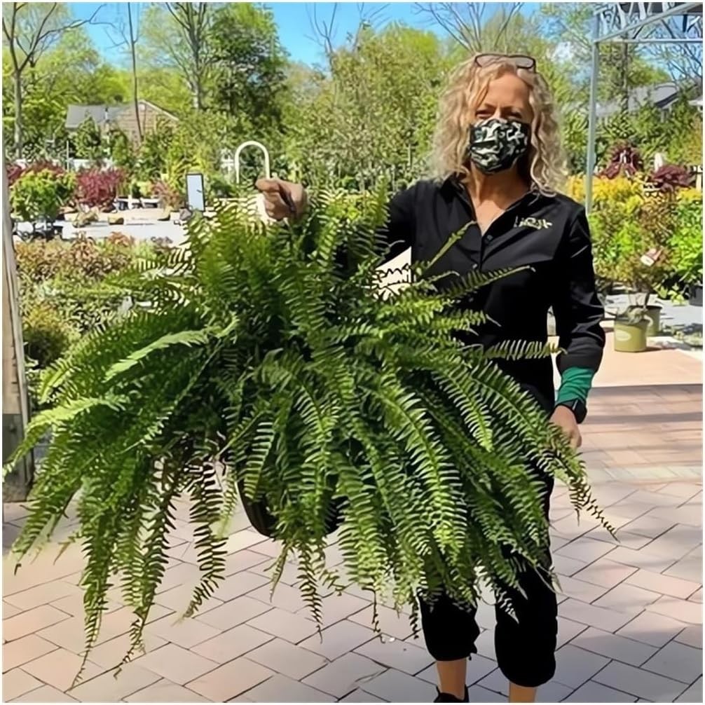 UV Resistant Lifelike Artificial Boston Fern – 2024 New Faux Boston Ferns Out…