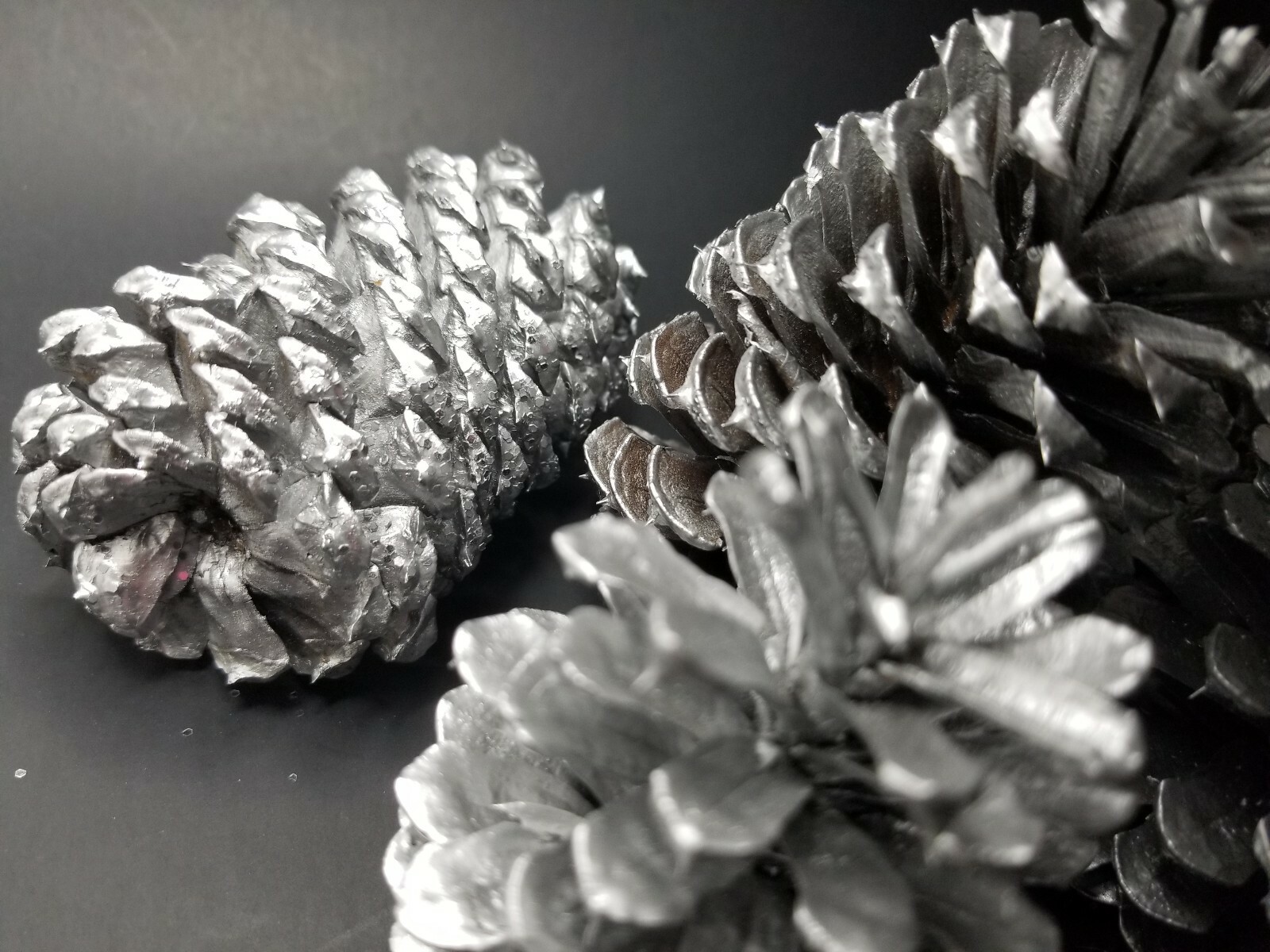 🎅15 Silver Pine Cones Hand Painted Natural Premium Ponderosa Cones