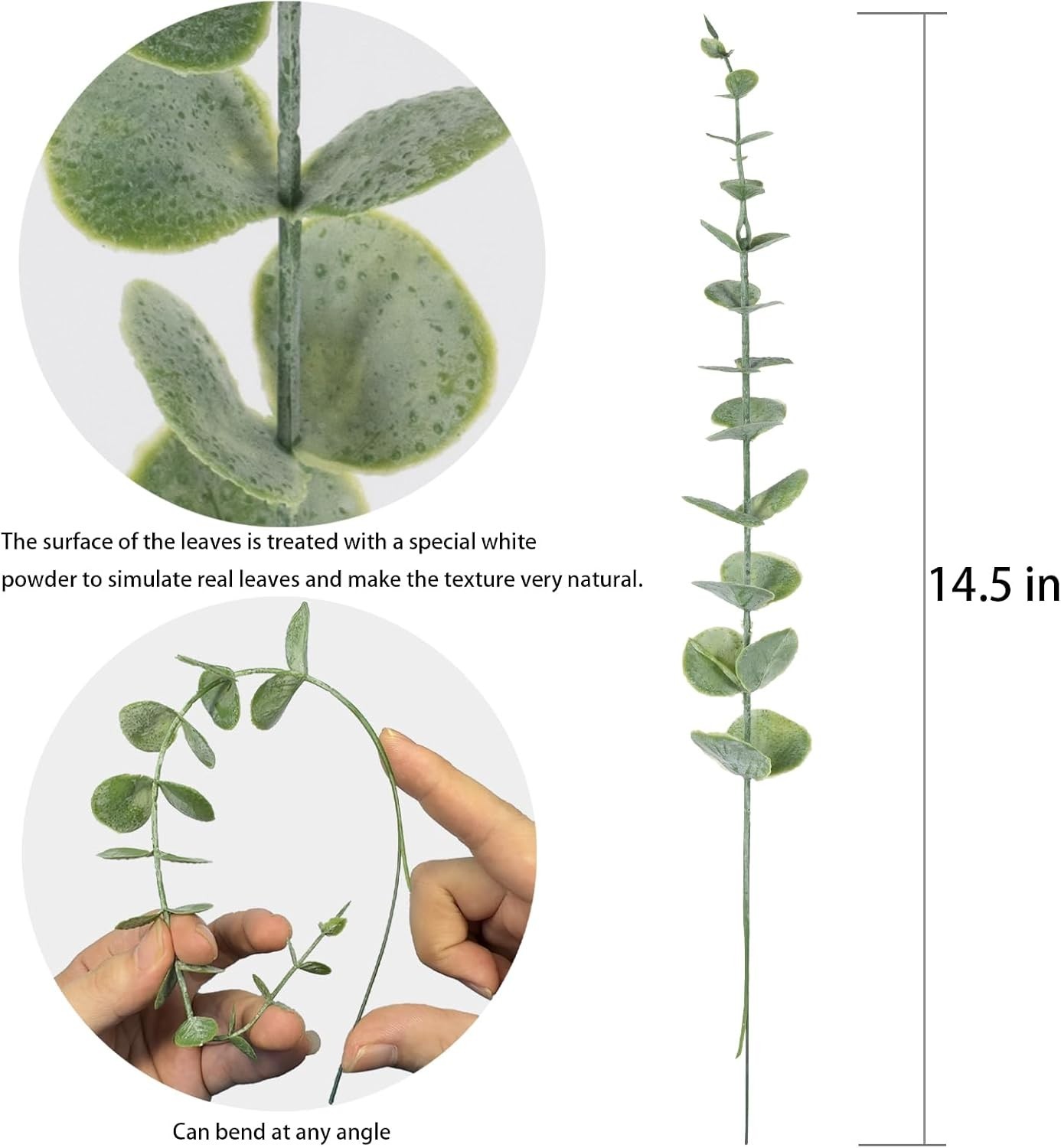 Versatile 20pcs Eucalyptus Stems – Perfect for Indoor, Outdoor & Wedding Decor