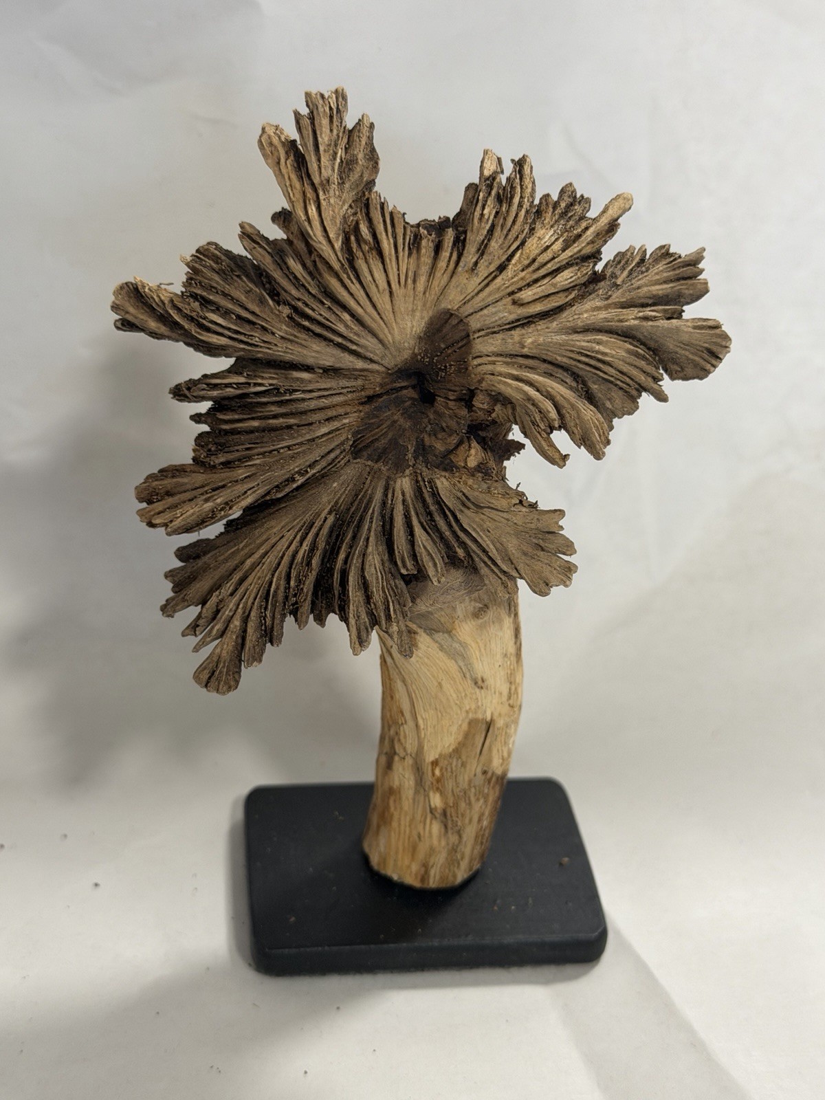 Rare Guatemala Wooden Tree Flower / Tree Ear on Iron Stand.