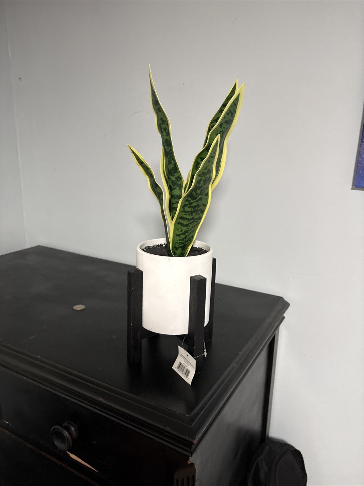 Artificial Snake Plant