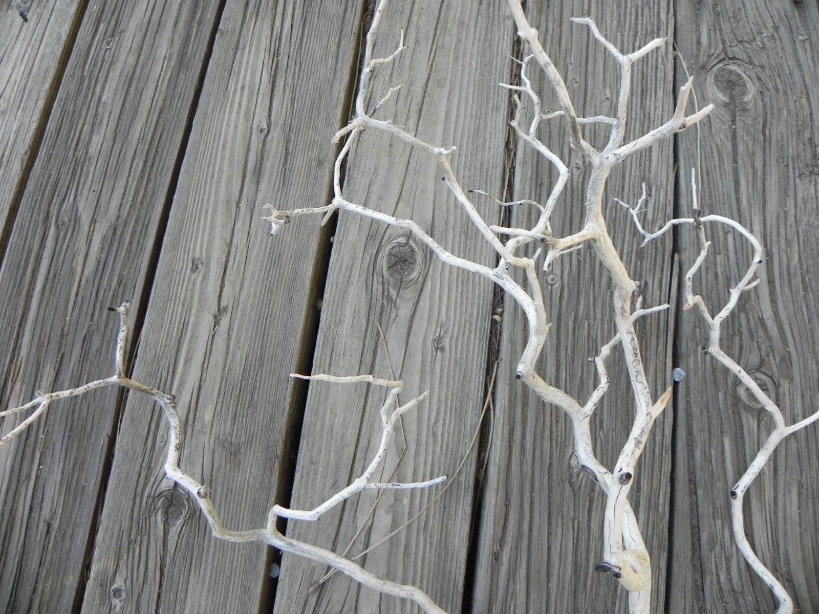 Twisty natural floral design home decor manzanita 24”x20
