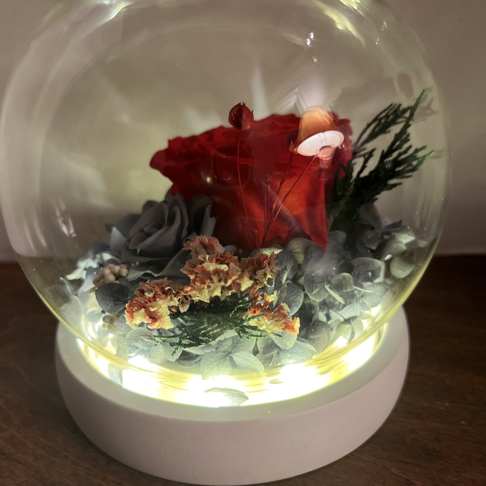 Light Up Fresh Preserved Roses
