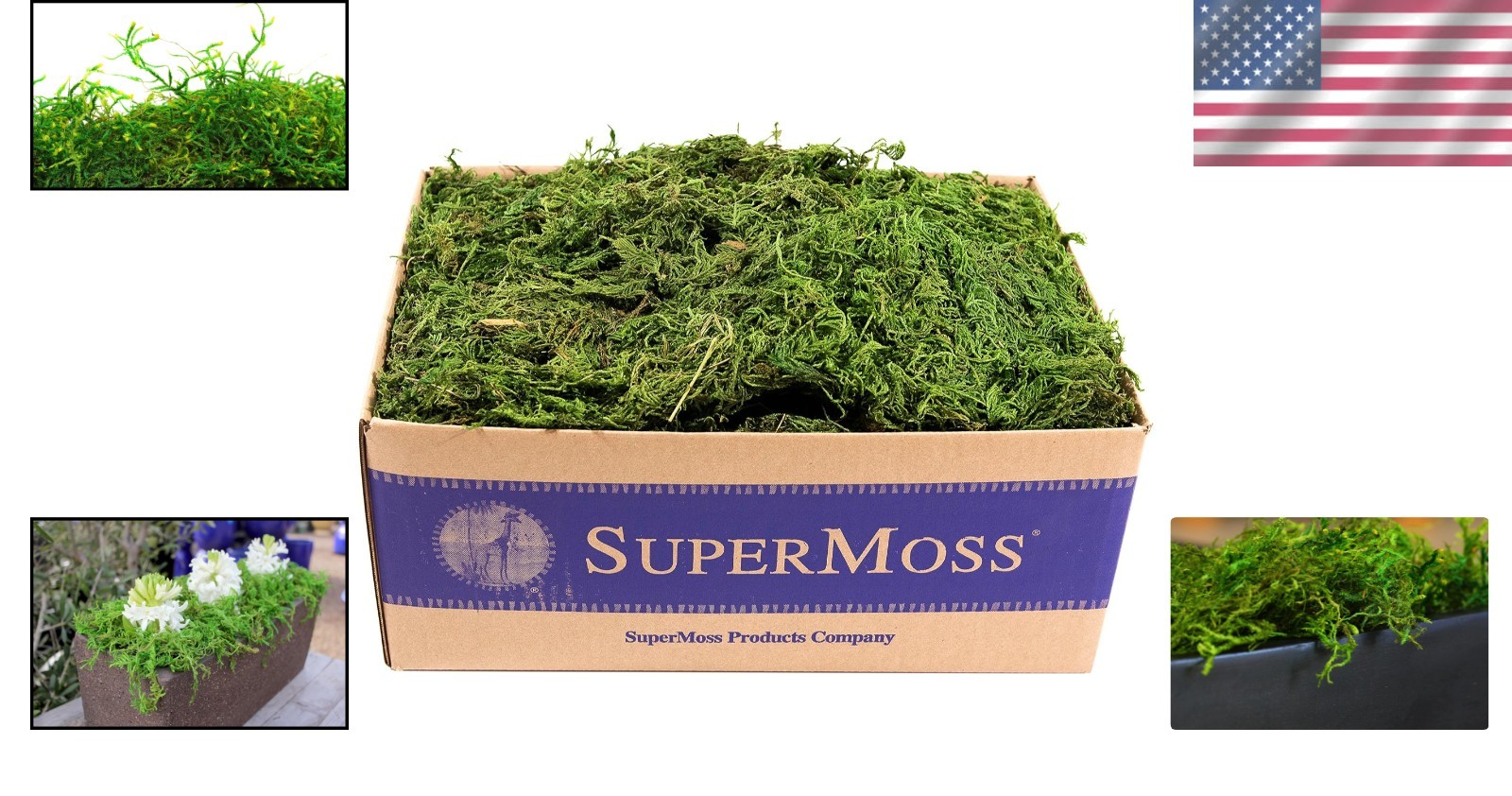 Long Lasting Moss for Home & Garden