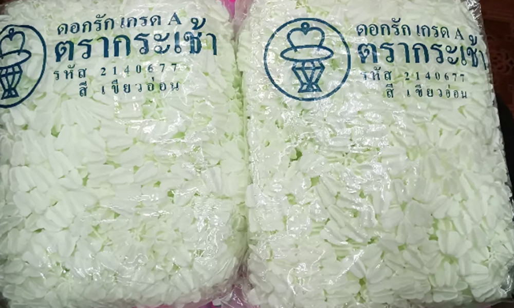 1500Pcs Dok Rak Garland Plastic White Green Light Crown Hand Crafts Art Supplies