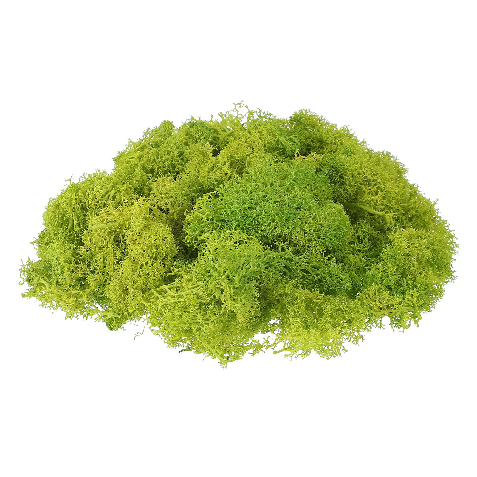17.6oz Fake Preserved Reindeer Moss, Chartreuse
