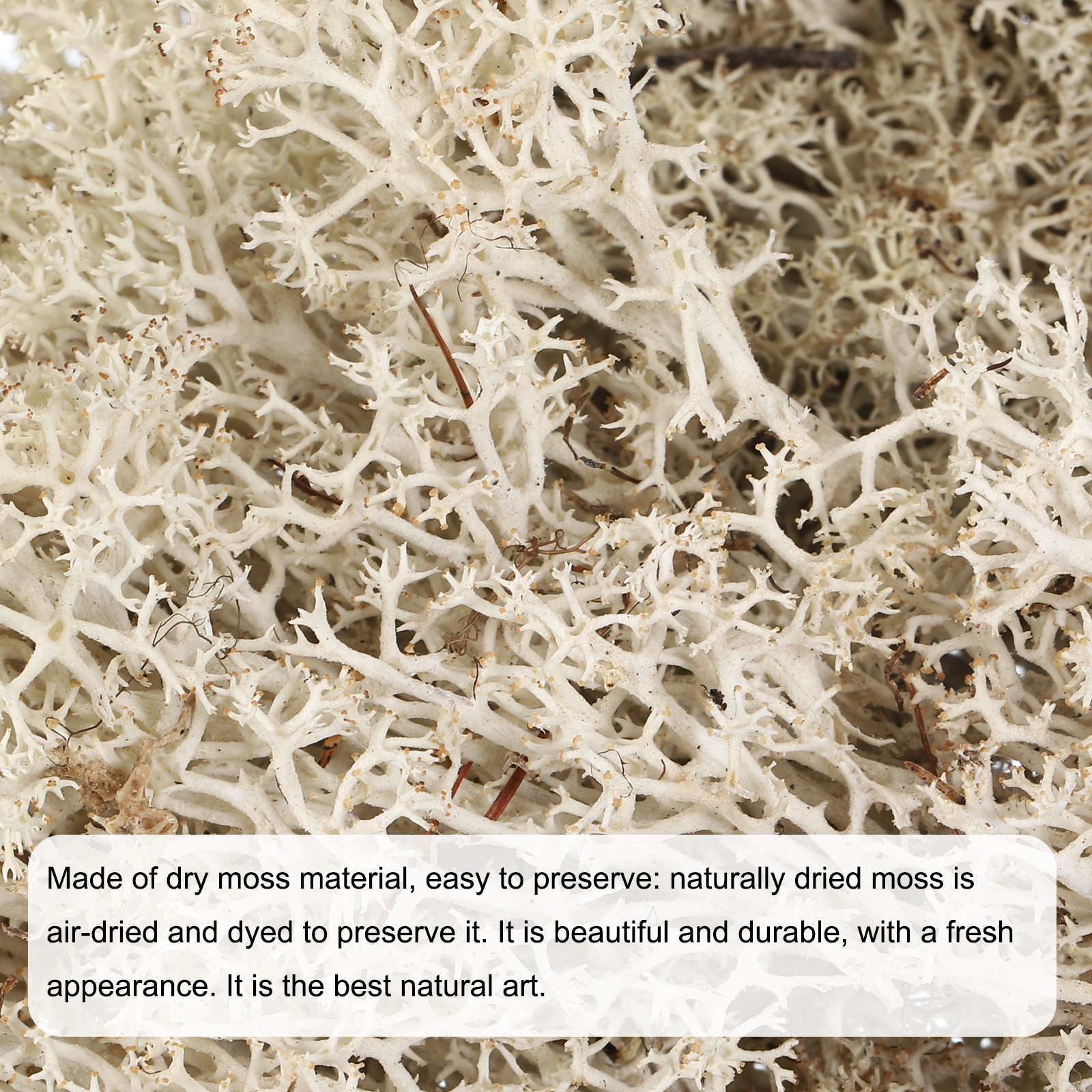 3.5OZ Moss Preserved Moss Artificial Moss for Craft Floral Natural Colour