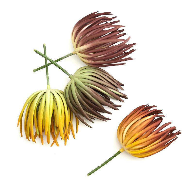 Factory Direct Craft Assorted Artificial Succulent Picks | 4 Pieces