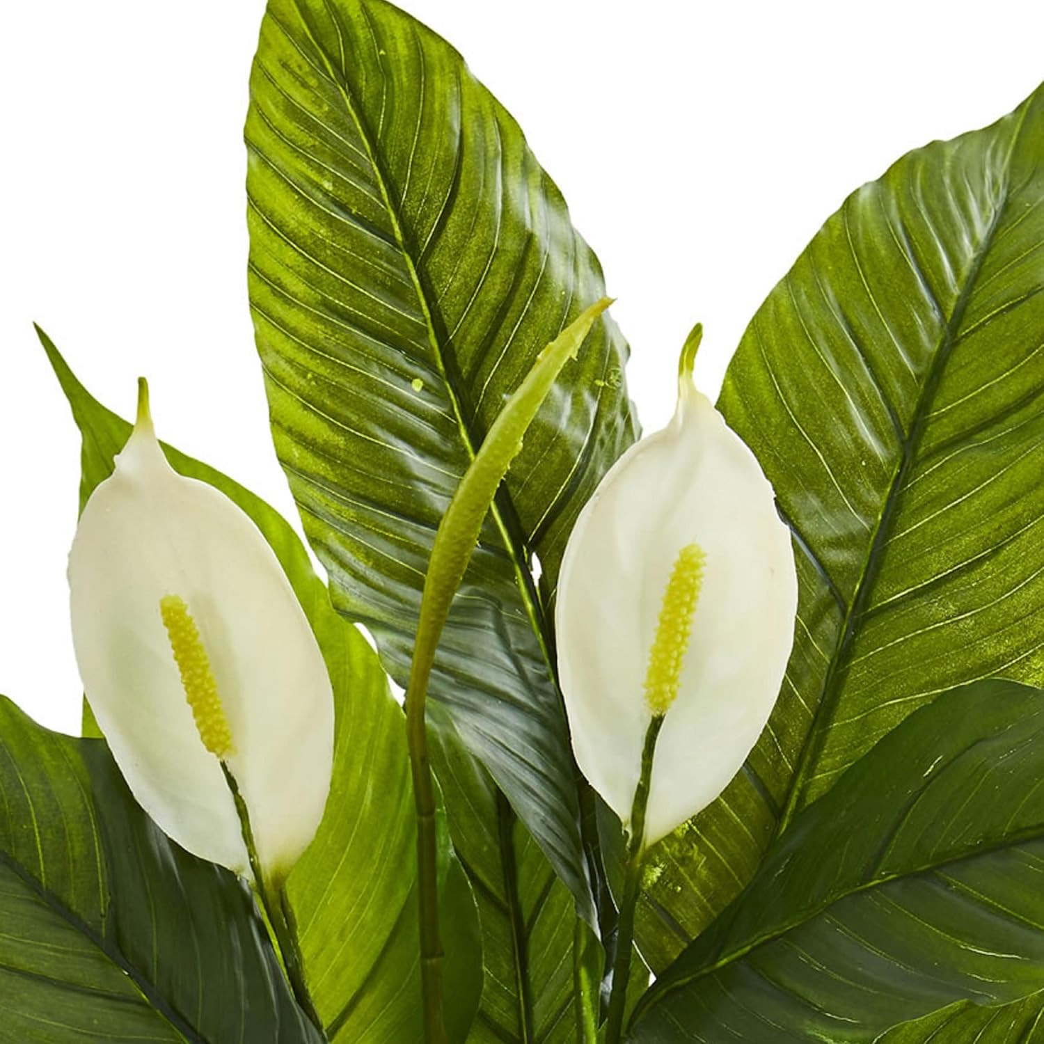 42″ & 26″ Spathiphyllum Artificial Silk Plants – Lush Green Decor