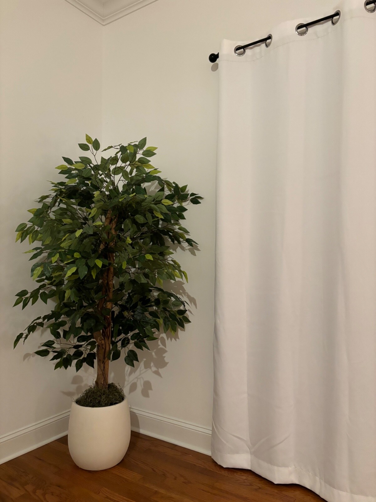 Wildwood & Cypress 60” Realistic Ficus Tree Wood Trunk Indoor Faux Decorative