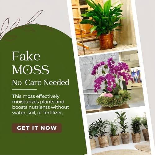 Large Capacity 2.2LB Fresh Green Fake Moss for Indoor Plants & Crafts – Home Dec