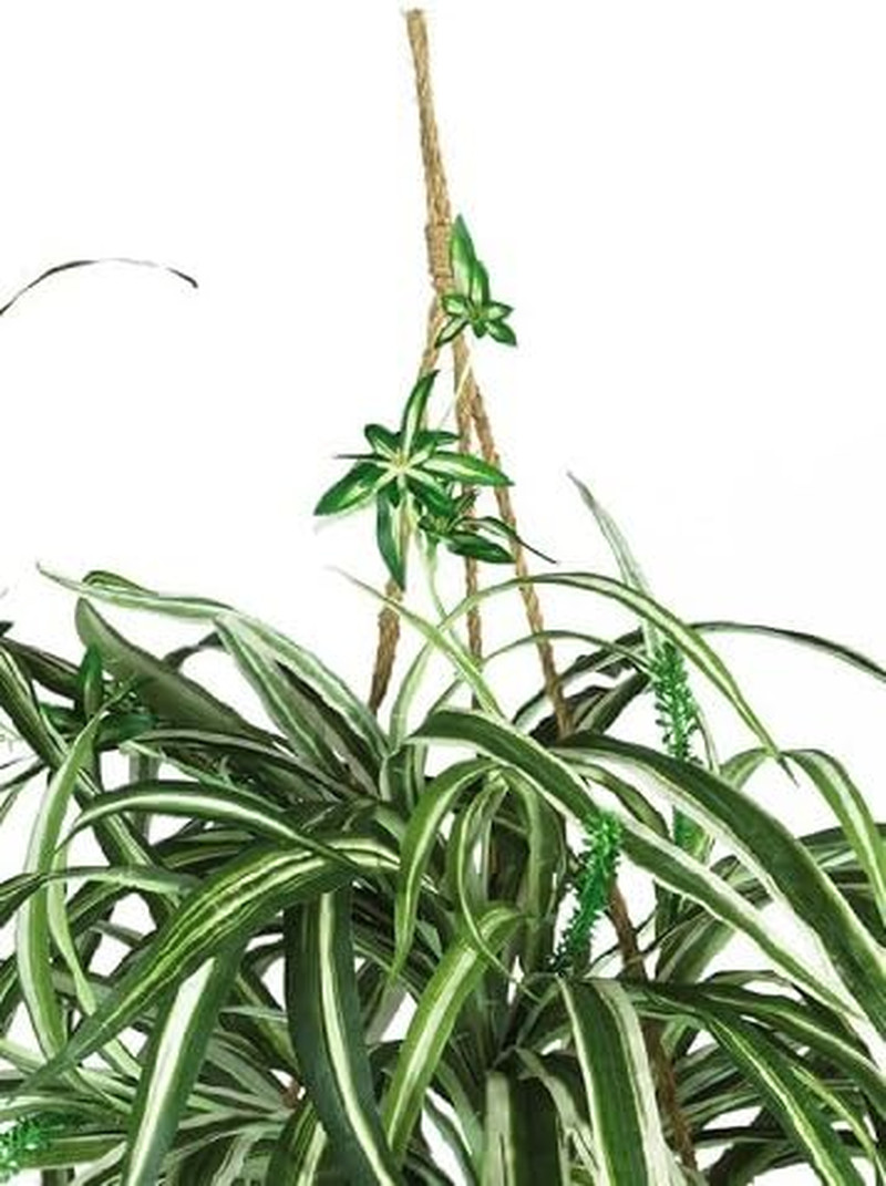 6607 Spider Hanging Basket Decorative Silk Plant, Green,10.25″ X 10.25″ X 17.5″