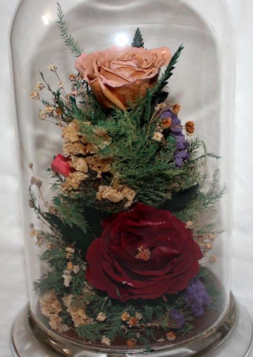 Natural Expressions – Real Freeze-Dried Rose Floral Arrangement in 8″ Glass Dome