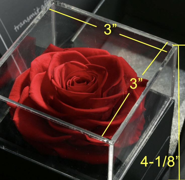 REAL Preserved Eternity Forever Rose Luxury Box Holiday Wedding Gift & Necklace