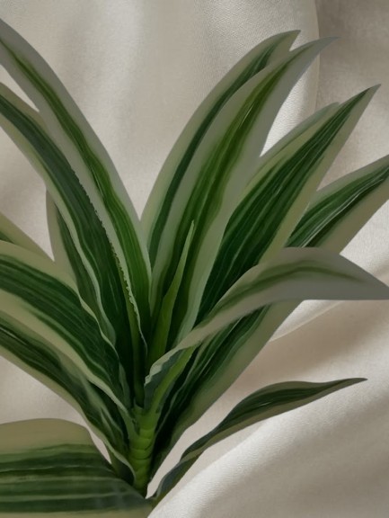 Artificial Dracena Bush