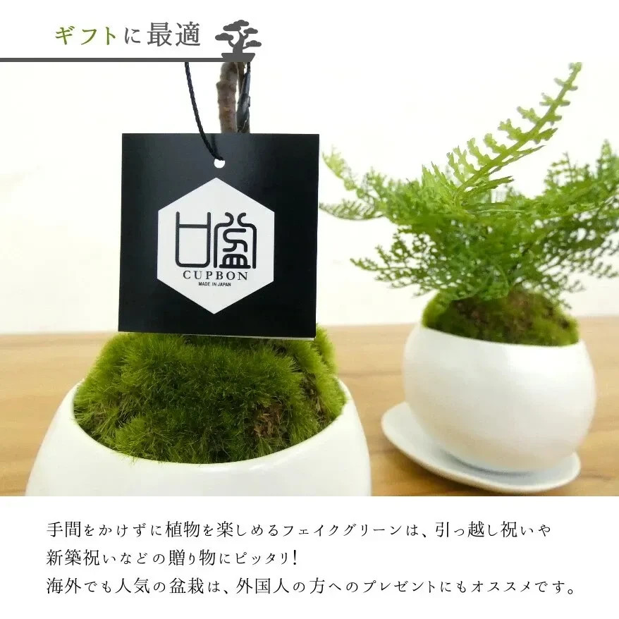 Cup Bonsai Set Momiji & Fern Faux Plant 2pcs Made in Japan Mini Zen Decor