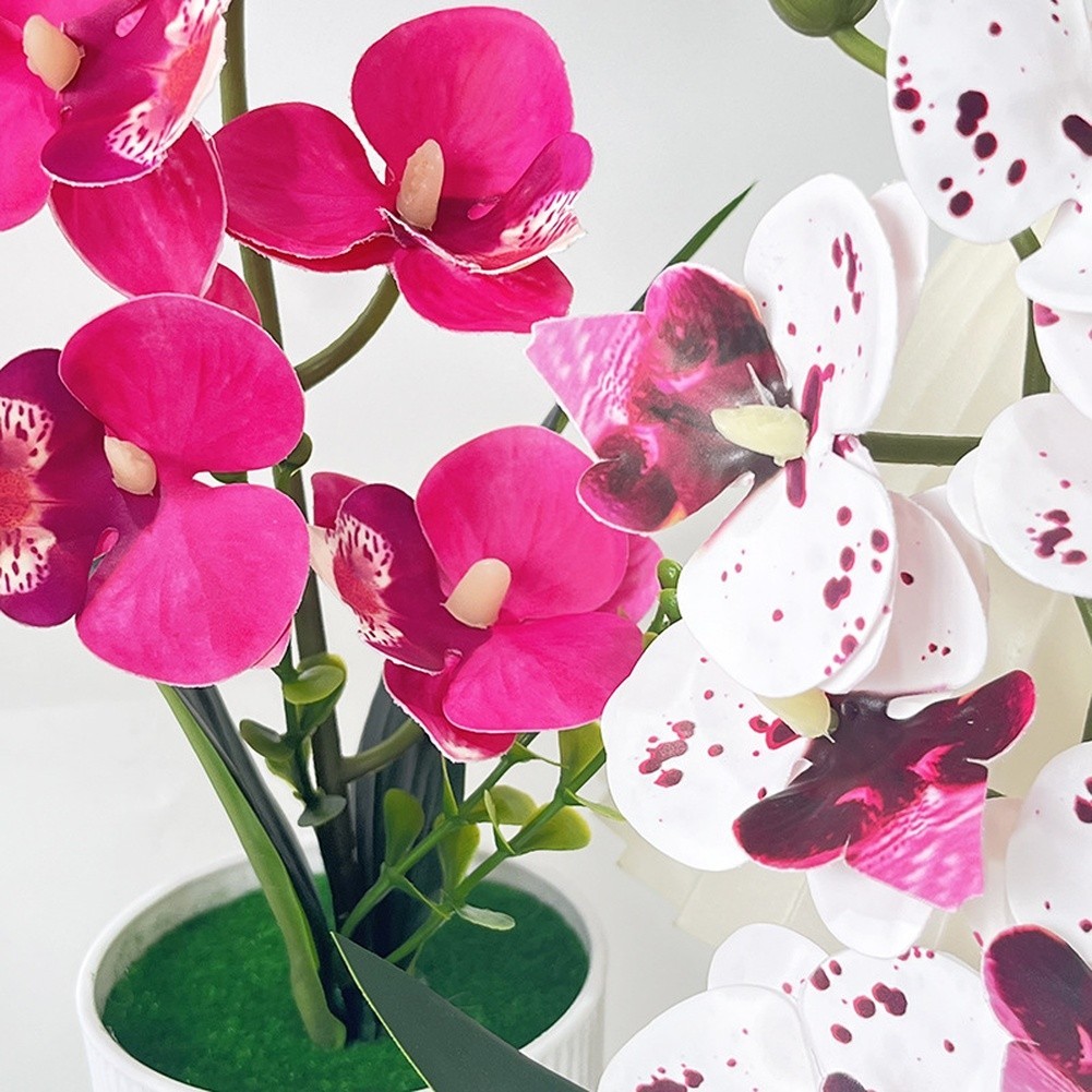 Potted Artificial Butterfly Orchid 12.2in/31cm White Dot Purple Pink White Red