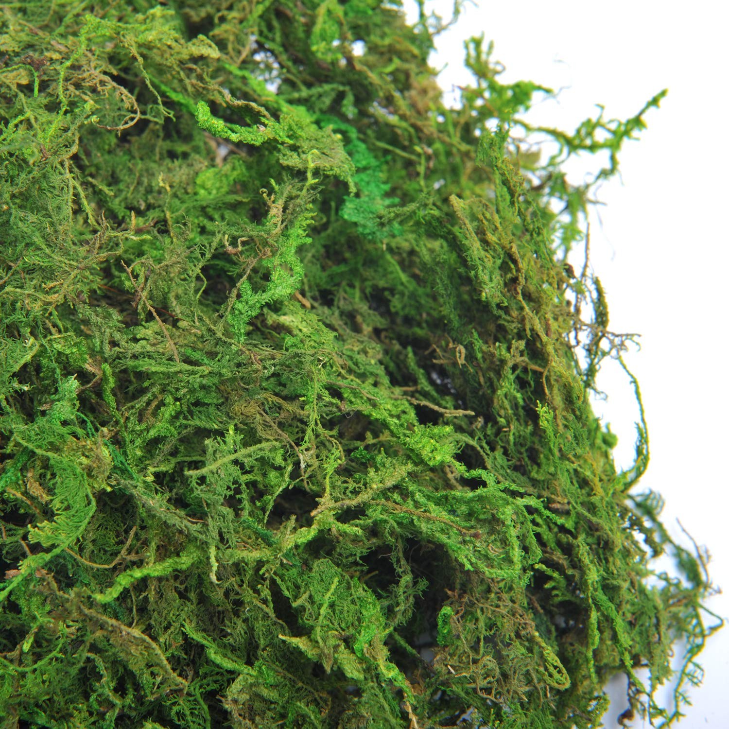 TOPCOMWW Fake Moss, 10.5oz Aftificial Decorative Green Grass for Centerpieces, P