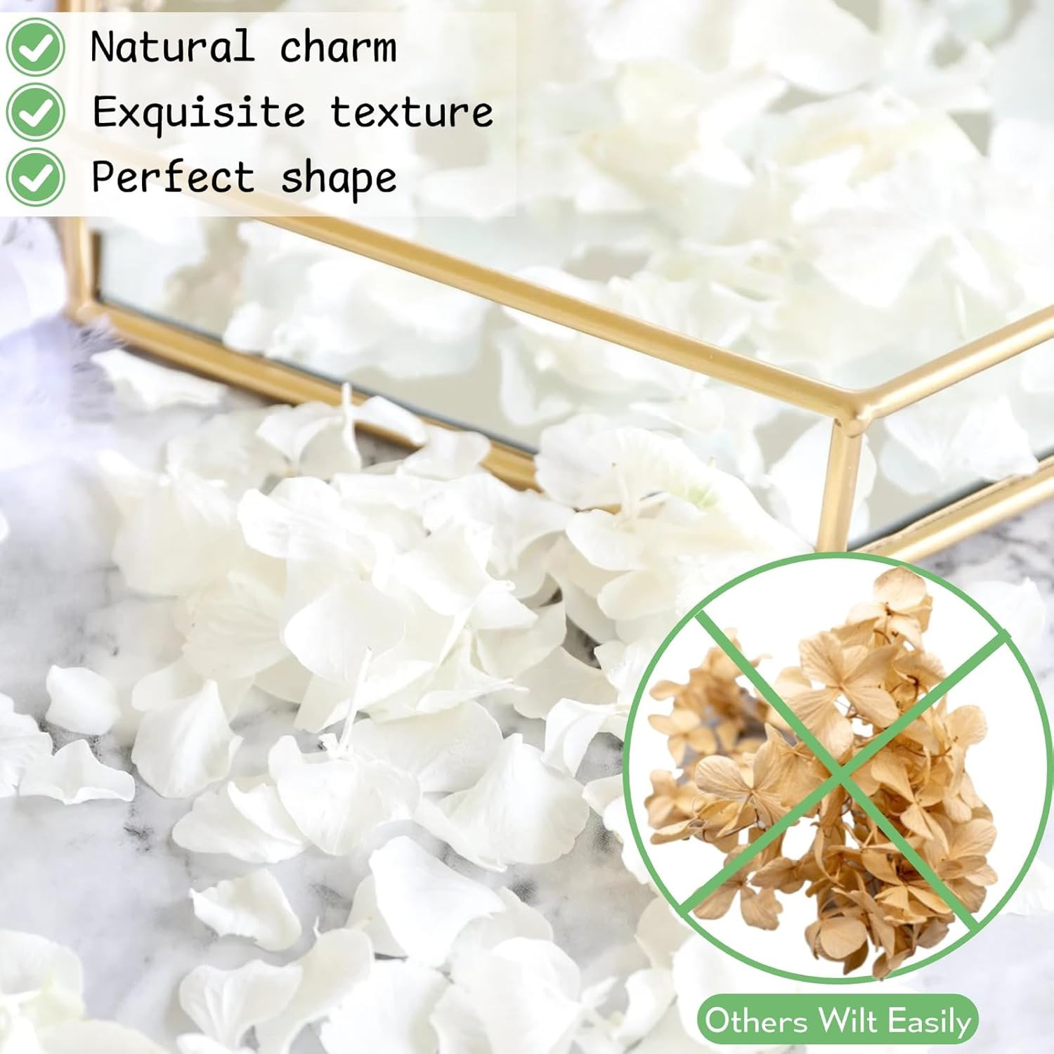 1500Pcs Real Dried Ivory White Hydrangea Flower Petals – Natural Smal Petals for