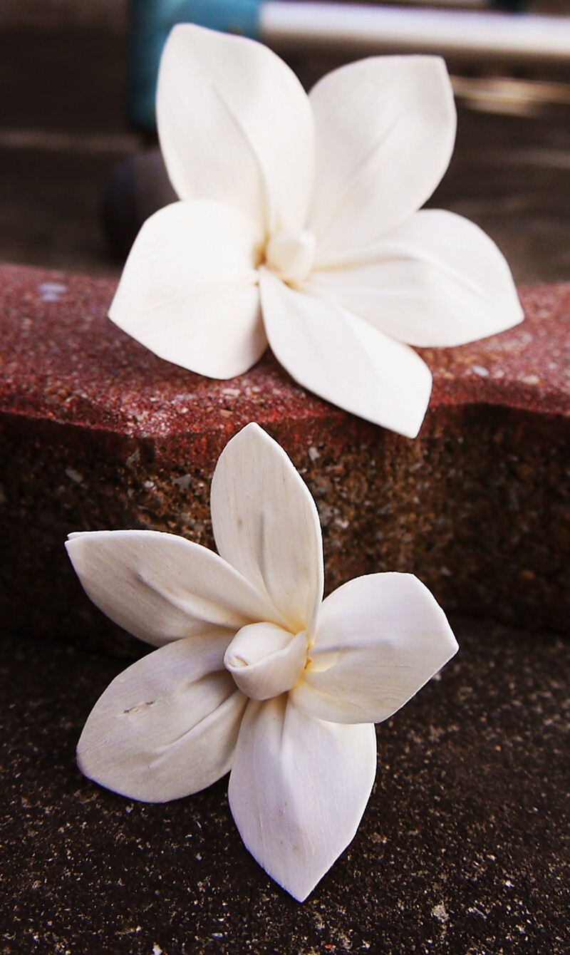9 Frangipani Artificial Sola Wood Flower Diffuser Flowers 8 cm Dia. For Craft