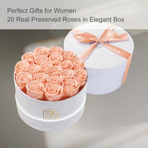 Gifts for Women Preserved Roses Flower Box, Luxury Velvet 20 Roses Peach Pink