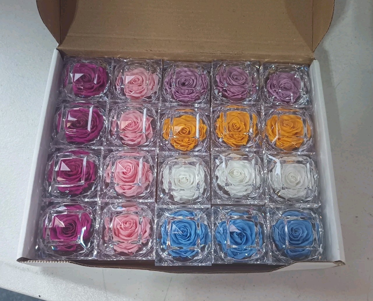 Fantasy Farms Flowers Display Set Of 20 Bijou Roses