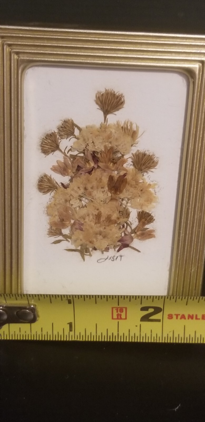 Small 2 3/8″ X 3 3/8″ Press Dried Flower #8 Multicolors Framed FF25